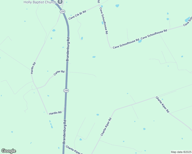 map of restaurants, bars, coffee shops, grocery stores, and more near 299 Tom Kerr Road in Leitchfield