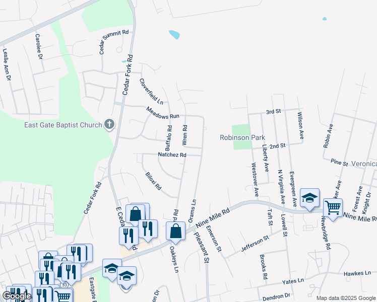 map of restaurants, bars, coffee shops, grocery stores, and more near 207 Natchez Road in Richmond