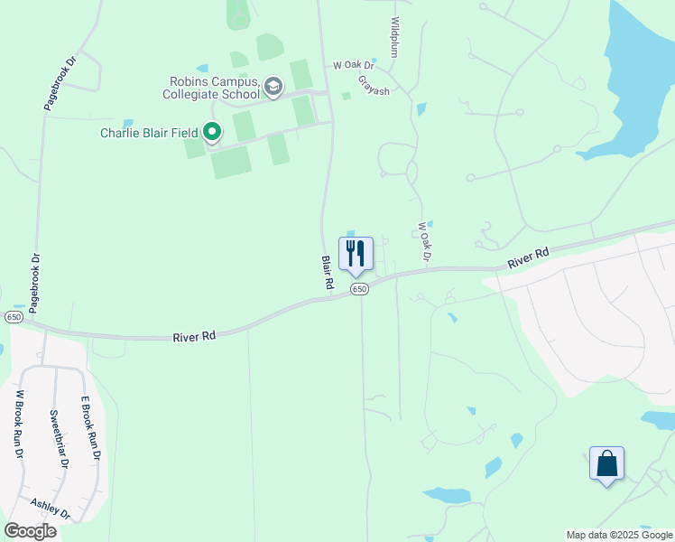map of restaurants, bars, coffee shops, grocery stores, and more near 301 Blair Road in Richmond