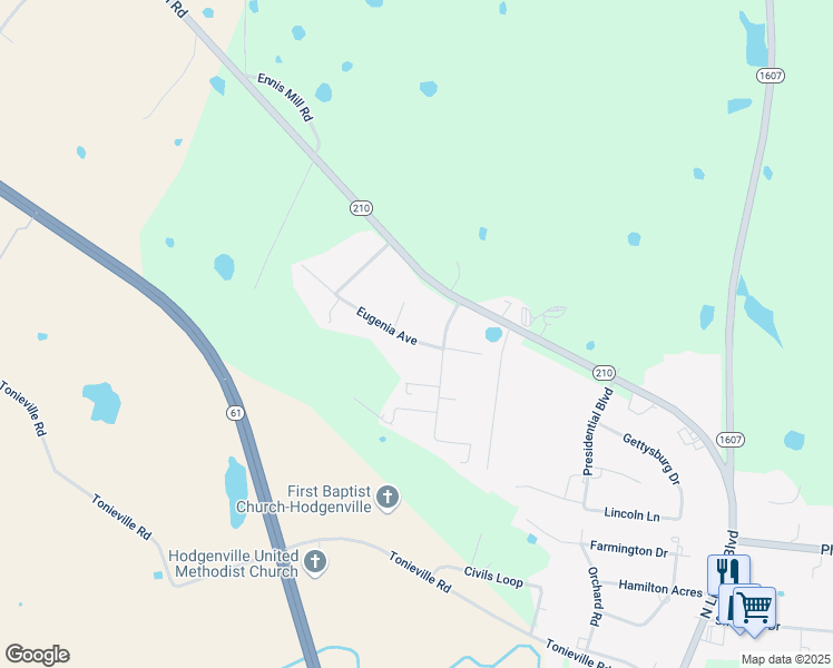 map of restaurants, bars, coffee shops, grocery stores, and more near 62 Eugenia Avenue in Hodgenville