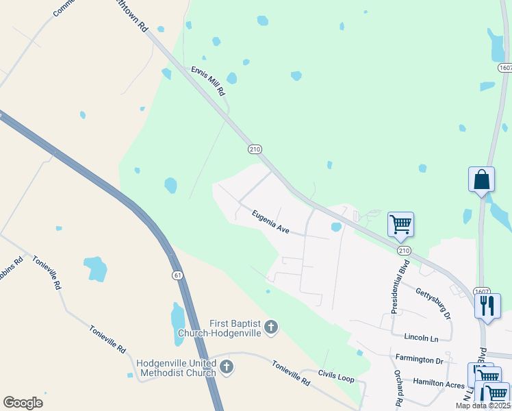 map of restaurants, bars, coffee shops, grocery stores, and more near 196 Eugenia Avenue in Hodgenville