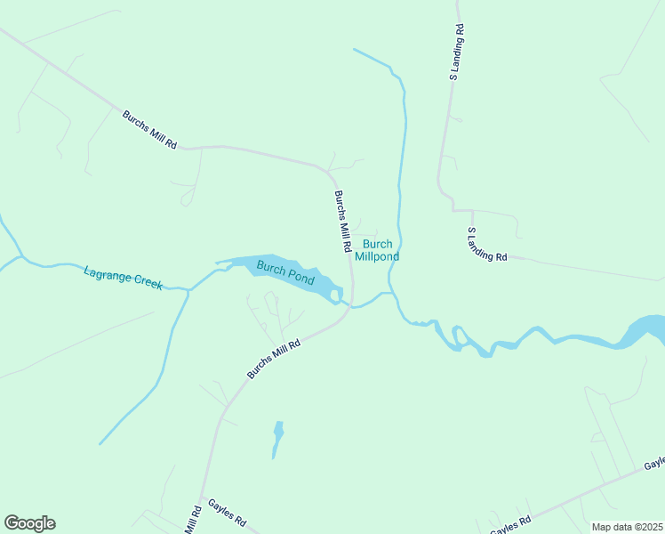 map of restaurants, bars, coffee shops, grocery stores, and more near Birch Street in Middlesex County