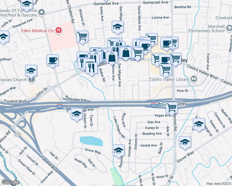 map of restaurants, bars, coffee shops, grocery stores, and more near 21096 Nunes Avenue in Castro Valley