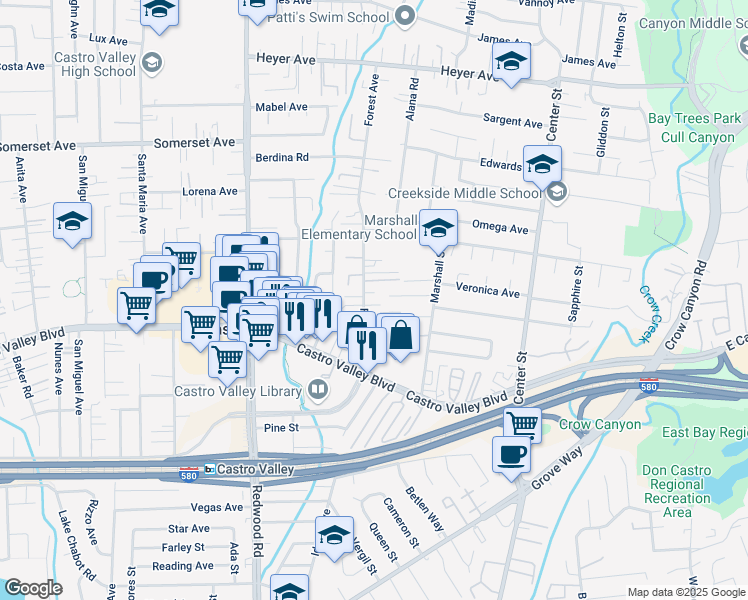 map of restaurants, bars, coffee shops, grocery stores, and more near 20540 Forest Avenue in Castro Valley