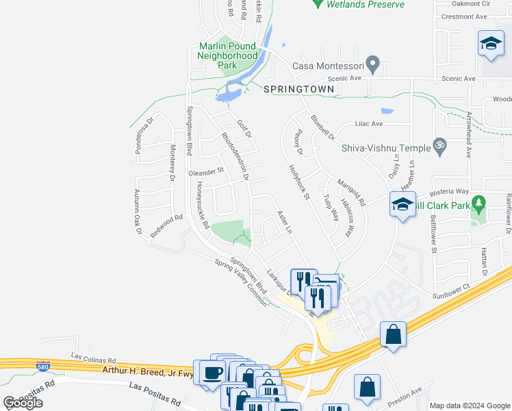 map of restaurants, bars, coffee shops, grocery stores, and more near 1485 Rhododendron Drive in Livermore