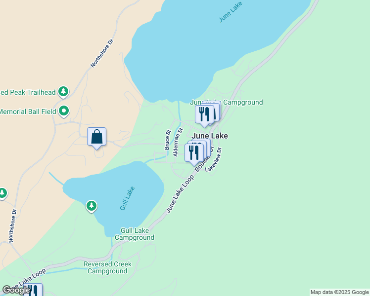 map of restaurants, bars, coffee shops, grocery stores, and more near 73 Foster Avenue in June Lake