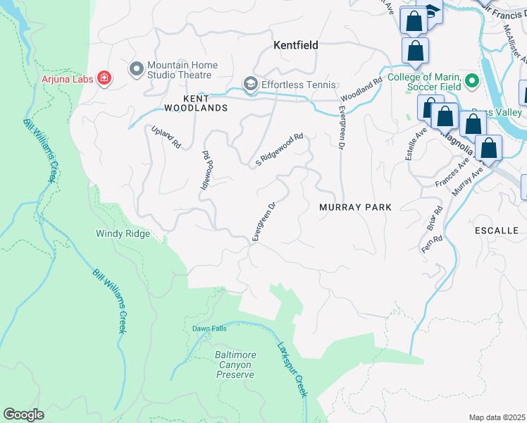 map of restaurants, bars, coffee shops, grocery stores, and more near 238 Evergreen Drive in Kentfield