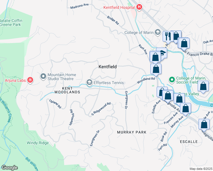 map of restaurants, bars, coffee shops, grocery stores, and more near 224 Woodland Road in Kentfield