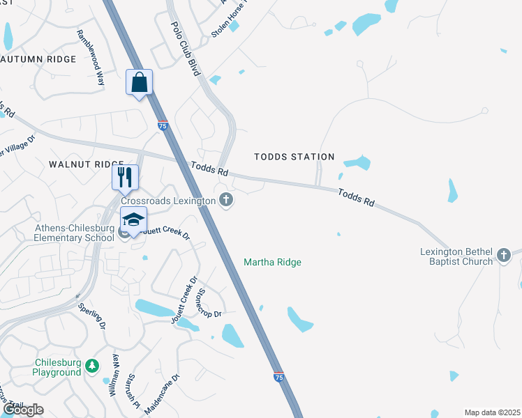 map of restaurants, bars, coffee shops, grocery stores, and more near in Lexington