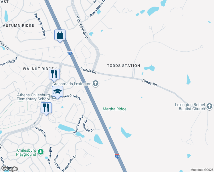 map of restaurants, bars, coffee shops, grocery stores, and more near 4176 Todds Road in Lexington