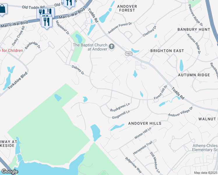 map of restaurants, bars, coffee shops, grocery stores, and more near 537 Forest Hill Drive in Lexington