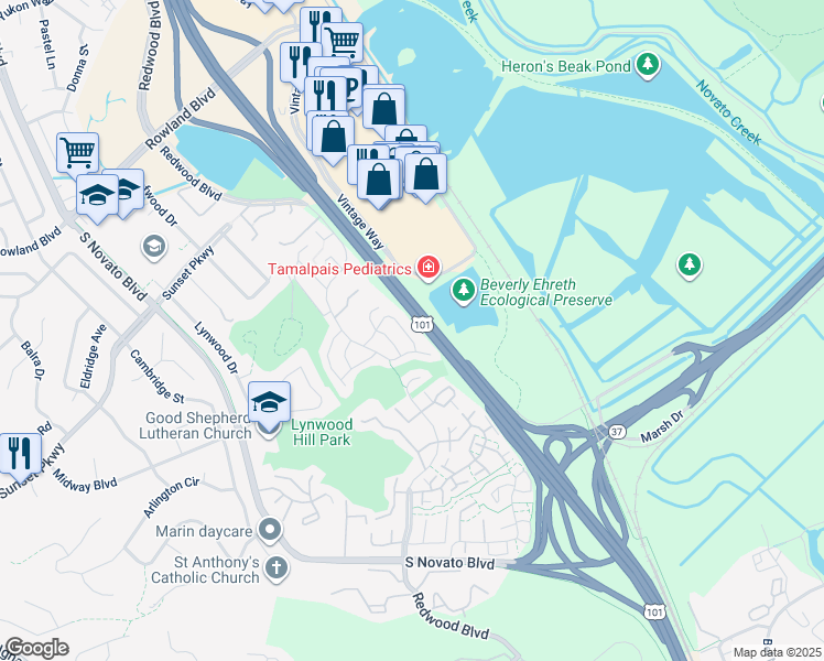 map of restaurants, bars, coffee shops, grocery stores, and more near 62 Rosewood Drive in Novato