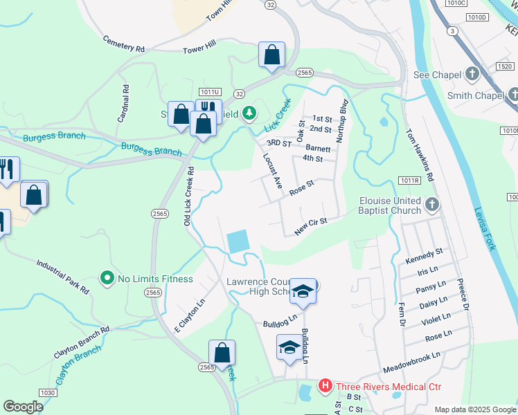 169 Rose Street, Louisa KY Walk Score