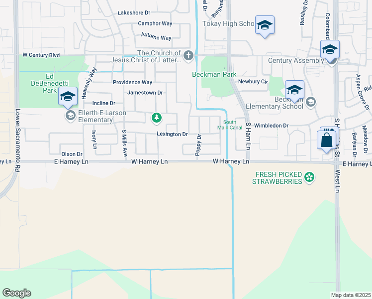 map of restaurants, bars, coffee shops, grocery stores, and more near 1530 Wildwood Drive in Lodi