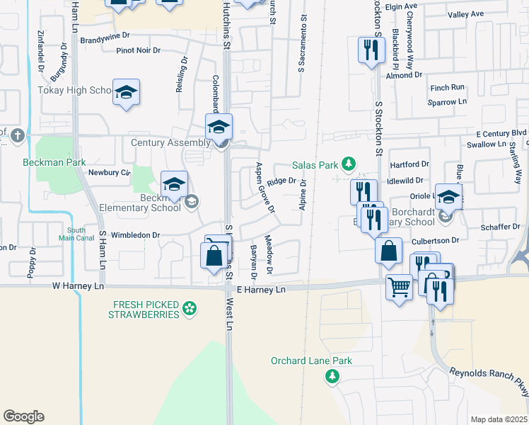 map of restaurants, bars, coffee shops, grocery stores, and more near 209 Audubon Dr in Lodi