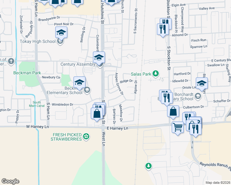 map of restaurants, bars, coffee shops, grocery stores, and more near 209 Audubon Drive in Lodi