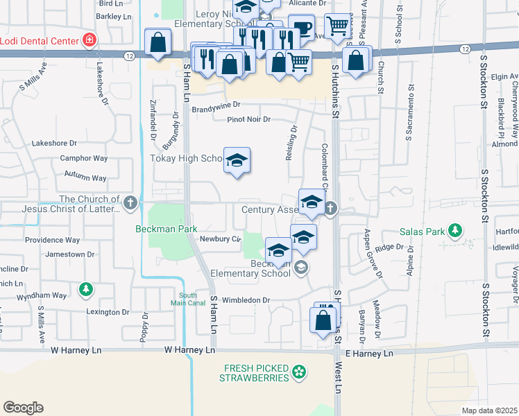 map of restaurants, bars, coffee shops, grocery stores, and more near 781 Dorchester Circle in Lodi