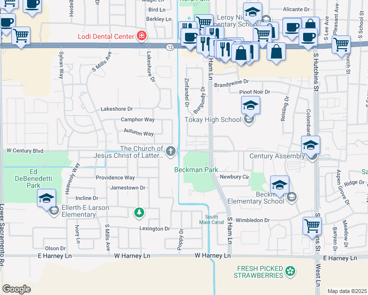 map of restaurants, bars, coffee shops, grocery stores, and more near 1427 Chablis Drive in Lodi
