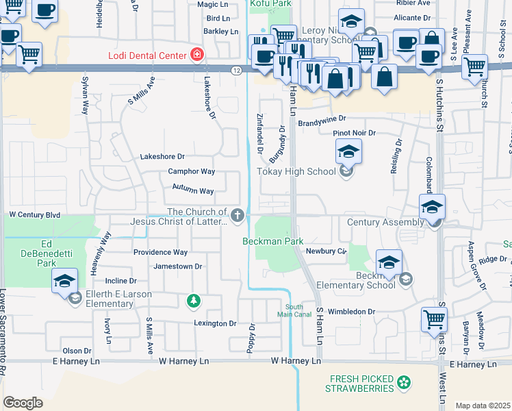 map of restaurants, bars, coffee shops, grocery stores, and more near 1311 West Century Boulevard in Lodi