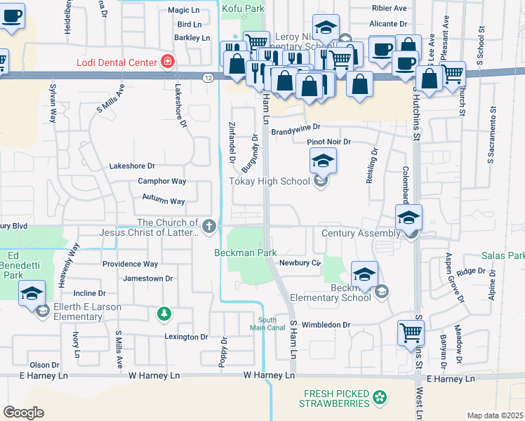 map of restaurants, bars, coffee shops, grocery stores, and more near 1311 West Century Boulevard in Lodi