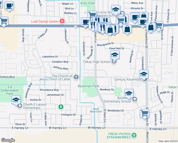 map of restaurants, bars, coffee shops, grocery stores, and more near 1311 West Century Boulevard in Lodi