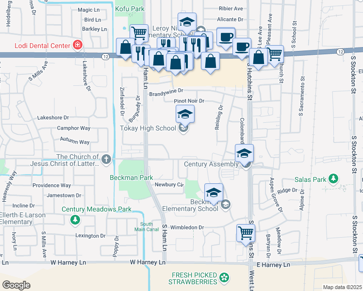 map of restaurants, bars, coffee shops, grocery stores, and more near 1111 West Century Boulevard in Lodi