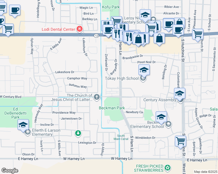 map of restaurants, bars, coffee shops, grocery stores, and more near 1427 Chablis Drive in Lodi