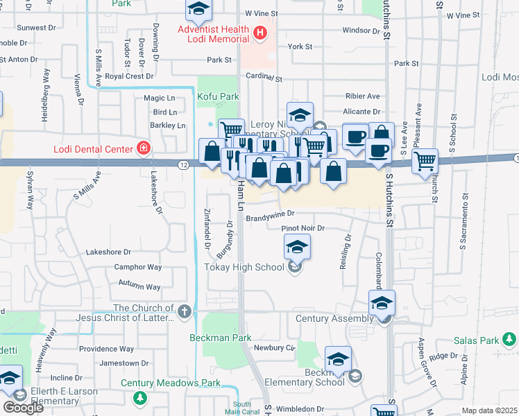 map of restaurants, bars, coffee shops, grocery stores, and more near 1206 Chianti Drive in Lodi