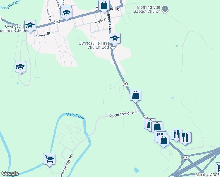 Mariella Drive, Owingsville KY Walk Score