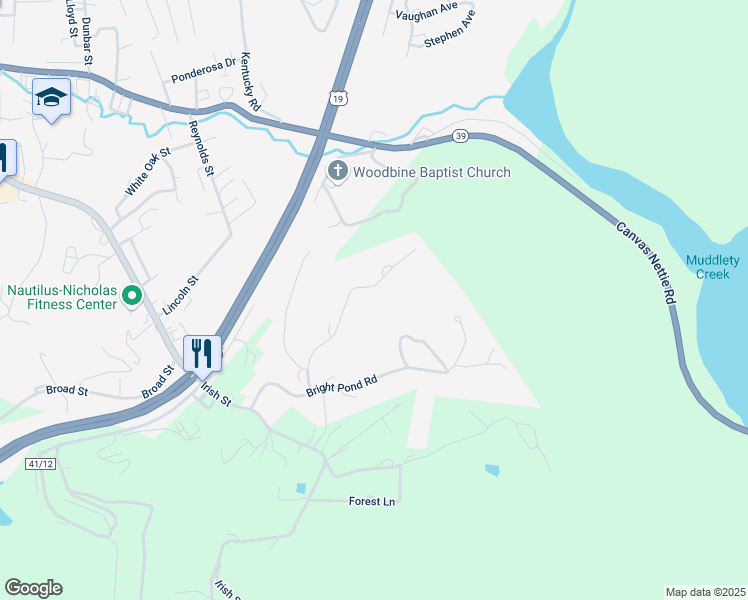 map of restaurants, bars, coffee shops, grocery stores, and more near 310 Chestnut Hill Road in Summersville