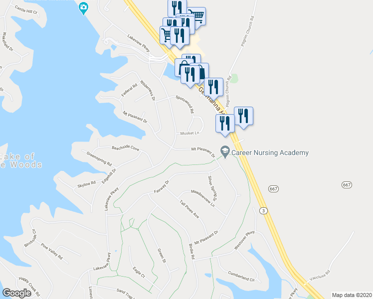 map of restaurants, bars, coffee shops, grocery stores, and more near 526 Mount Pleasant Drive in Locust Grove