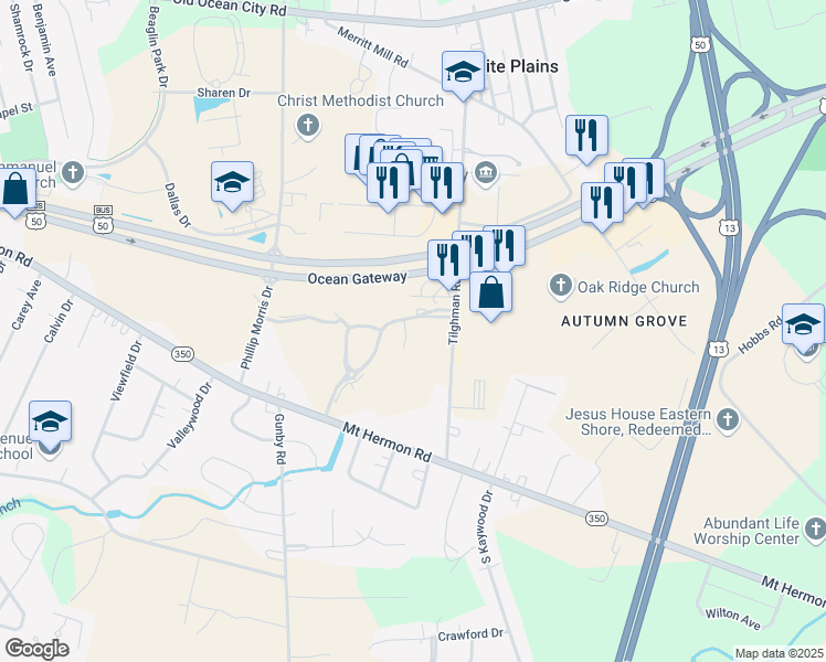 map of restaurants, bars, coffee shops, grocery stores, and more near 306 Tilghman Road in Salisbury