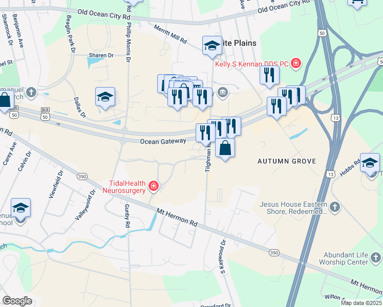 map of restaurants, bars, coffee shops, grocery stores, and more near 306 Tilghman Road in Salisbury