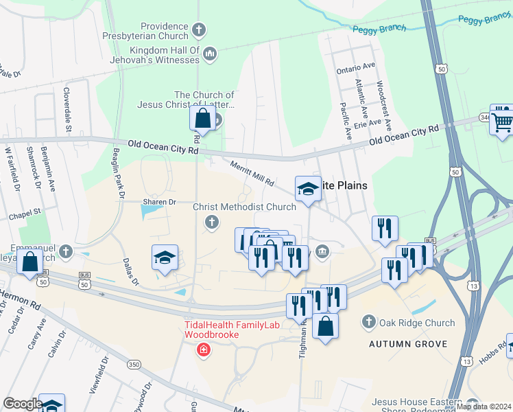 map of restaurants, bars, coffee shops, grocery stores, and more near 1021 Meadow View Drive in Salisbury