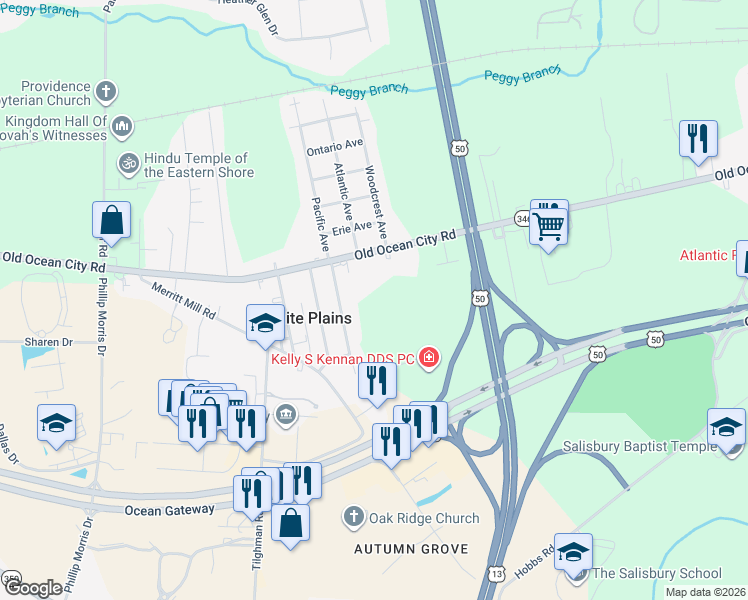 map of restaurants, bars, coffee shops, grocery stores, and more near 3202 Old Ocean City Road in Salisbury