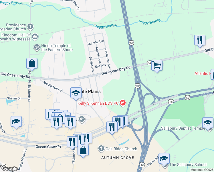map of restaurants, bars, coffee shops, grocery stores, and more near 3202 Old Ocean City Road in Salisbury