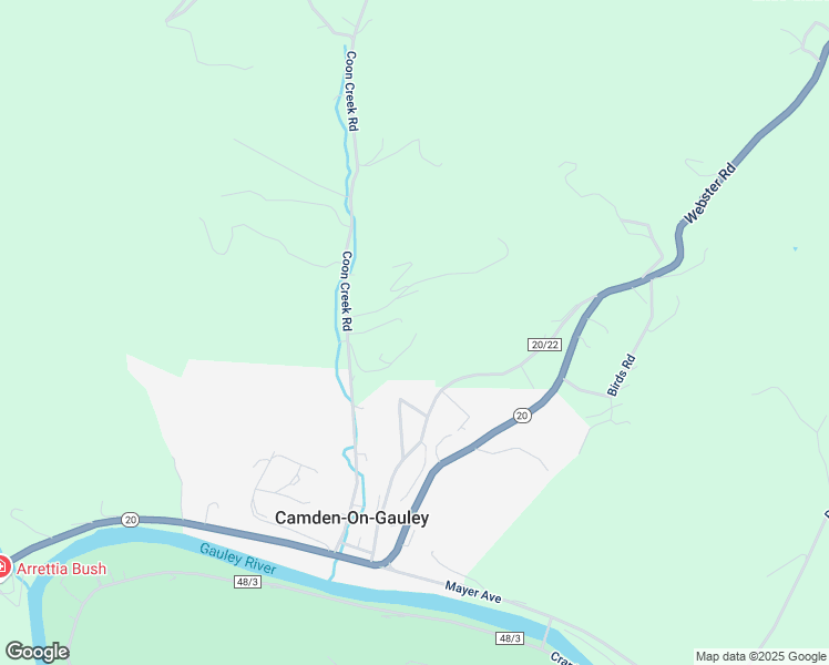 map of restaurants, bars, coffee shops, grocery stores, and more near 99 Moss Drive in Camden-on-Gauley