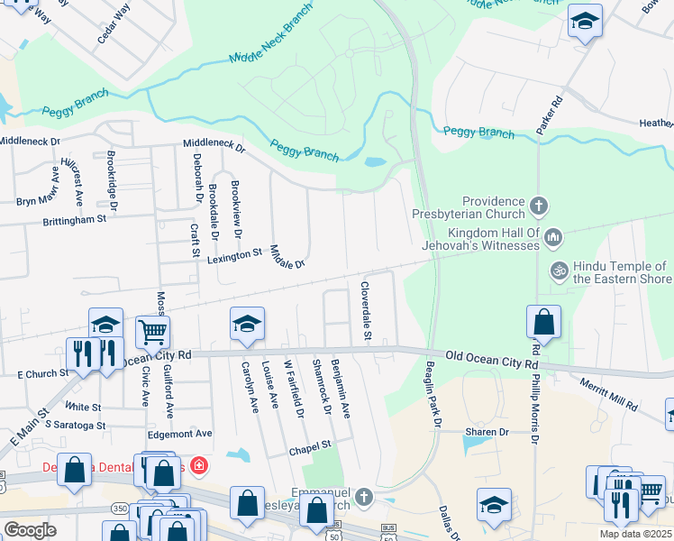 map of restaurants, bars, coffee shops, grocery stores, and more near 204 Aydelotte Road in Salisbury
