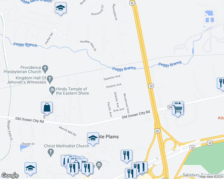 map of restaurants, bars, coffee shops, grocery stores, and more near 409 Atlantic Avenue in Salisbury