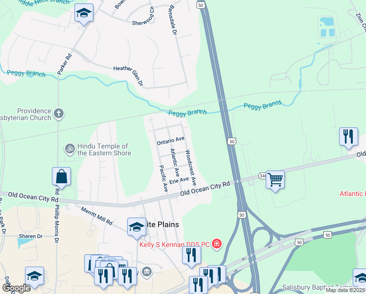 map of restaurants, bars, coffee shops, grocery stores, and more near 407 Woodcrest Avenue in Salisbury