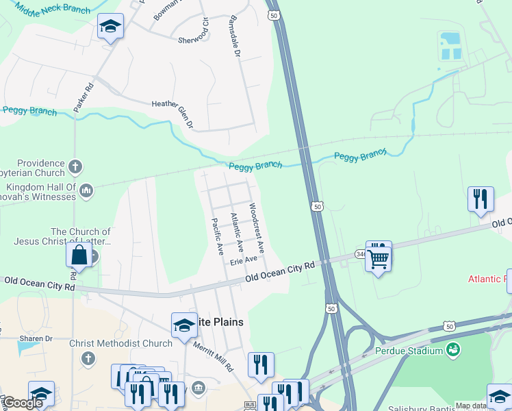 map of restaurants, bars, coffee shops, grocery stores, and more near 407 Woodcrest Avenue in Salisbury