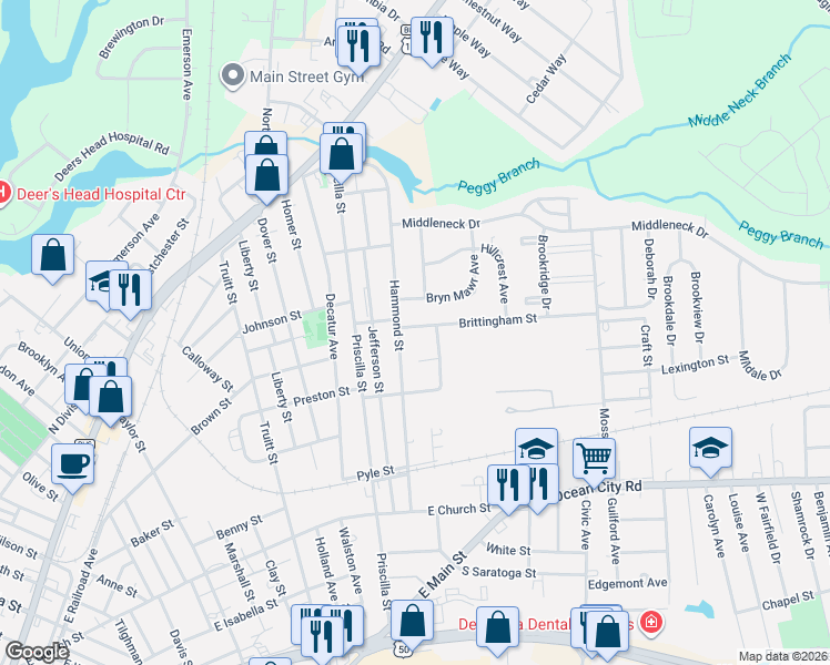 map of restaurants, bars, coffee shops, grocery stores, and more near 1110 Bryn Mawr Avenue in Salisbury
