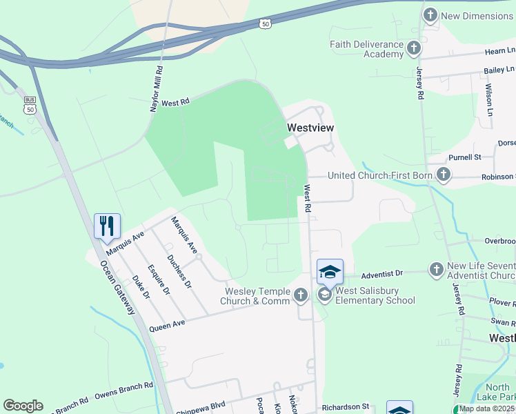 map of restaurants, bars, coffee shops, grocery stores, and more near 875 Victoria Park Drive in Salisbury