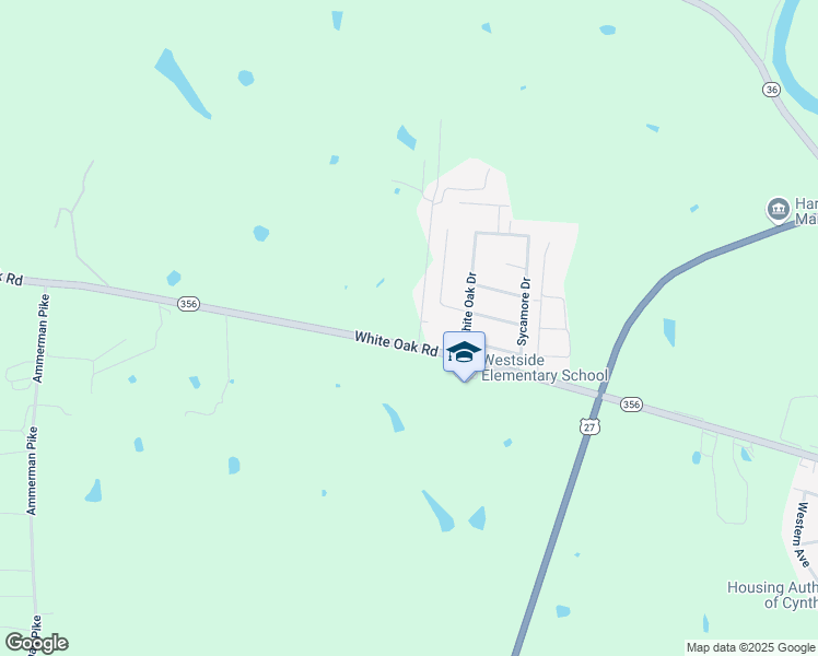 map of restaurants, bars, coffee shops, grocery stores, and more near 211 Raintree Drive in Cynthiana
