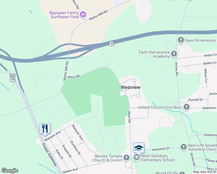 map of restaurants, bars, coffee shops, grocery stores, and more near 1731 North Salisbury Boulevard in Salisbury