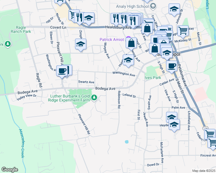 map of restaurants, bars, coffee shops, grocery stores, and more near 100 Nelson Way in Sebastopol