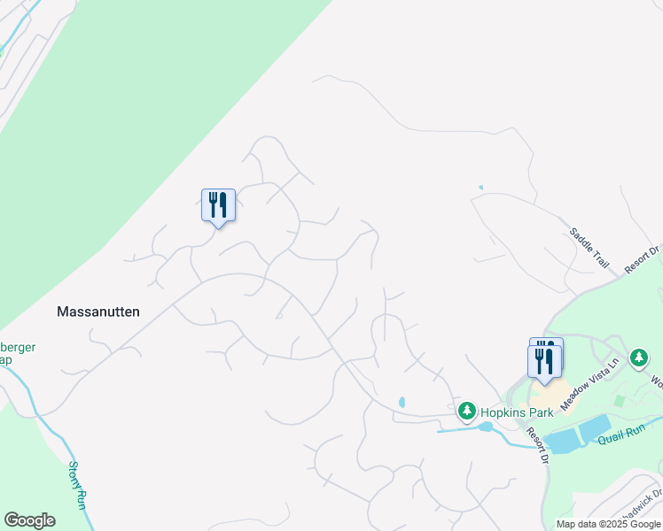 map of restaurants, bars, coffee shops, grocery stores, and more near 249 Pheasant Road in McGaheysville