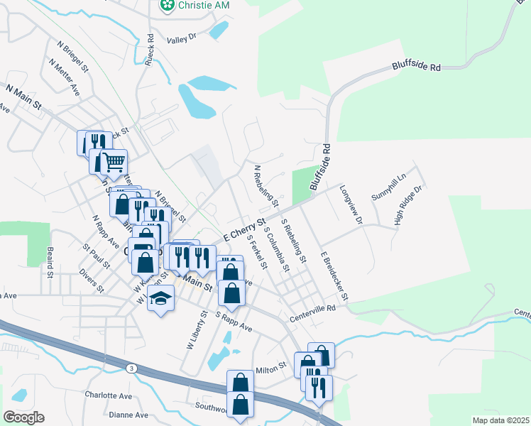 map of restaurants, bars, coffee shops, grocery stores, and more near 207 South Riebeling Street in Columbia