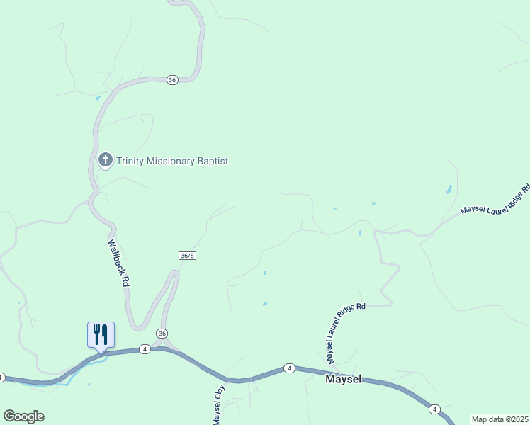 map of restaurants, bars, coffee shops, grocery stores, and more near 335 Tea Berry Hollow Road in Maysel