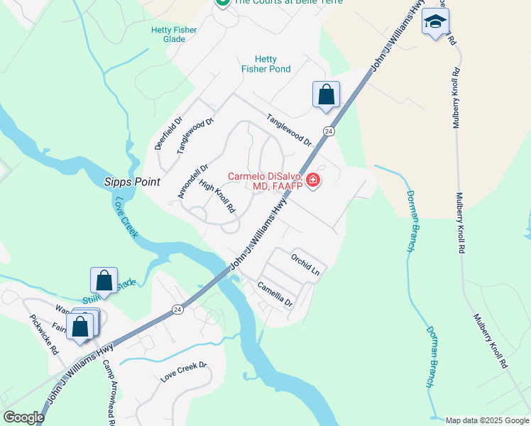 map of restaurants, bars, coffee shops, grocery stores, and more near 20336 John J Williams Highway in Lewes